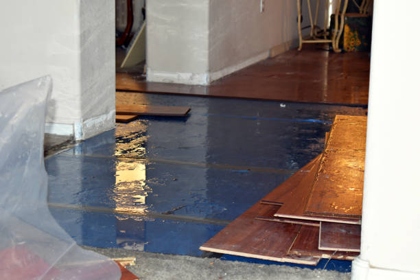 Professional Flood Cleanup technician working in Whitehall, MI